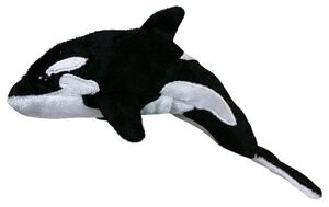 TITELLA DE DIT ORCA