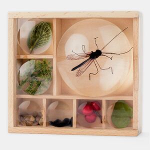 MINI MUSEO HUCKLEBERRY