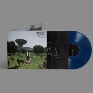 LOS PERROS NO ENTIENDEN INTERNET (VINILO AZUL)