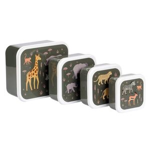 SET 4 CAJAS SNACKSAVANNA
