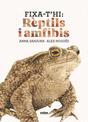 FIXA-T'HI: RÈPTILS I AMFIBIS