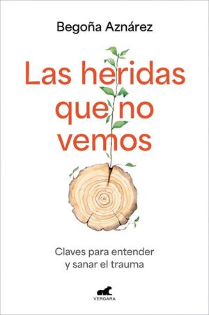 LAS HERIDAS QUE NO VEMOS