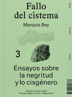 FALLO DEL CISTEMA
