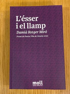 L'ÉSSER I EL LLAMP