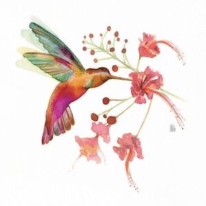 HUMMINGBIRD LOVE (FLOR COMPOSTA) PRINT JOANA SANTAMANS