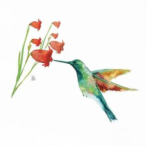 HUMMINGBIRD LOVE (FLOR CAMPANES) PRINT JOANA SANTAMANS