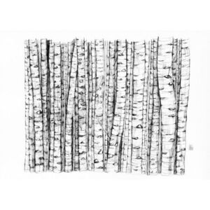 BOSC DE BEDOLLS PRINT JOANA SANTAMANS