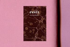 INSEL